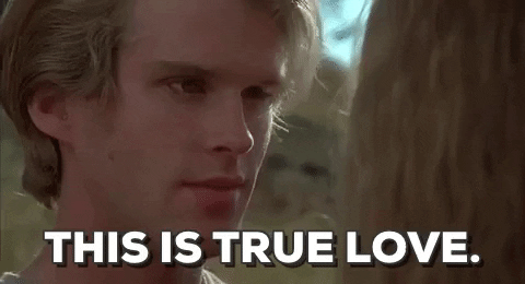 Cary Elwes Saying This Is True Love GIF