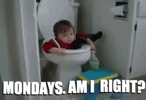 Case Of The Mondays Baby Toilet Bowl Meme GIF