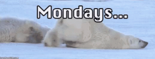 Case Of The Mondays Lazy Polar Bear GIF