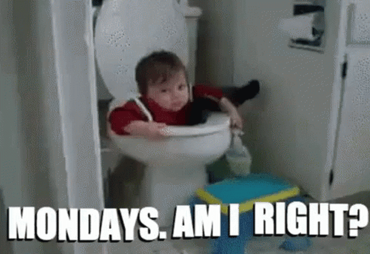 Case Of The Mondays Baby Toilet Bowl Meme GIF