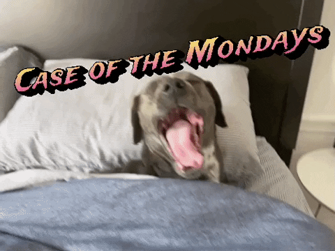 Case Of The Mondays Sleepy Pup In Bed GIF