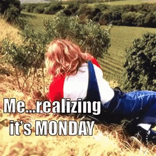 Case Of The Mondays Slipping Downhill Meme GIF