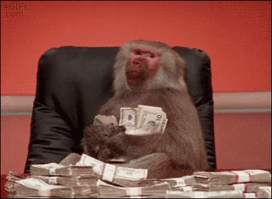 Cash Money 394 X 288 Gif GIF