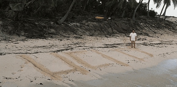 Cast Away Tom Hanks Help In Sand GIF