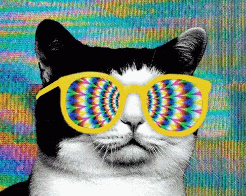 Cat Acid Trip GIF