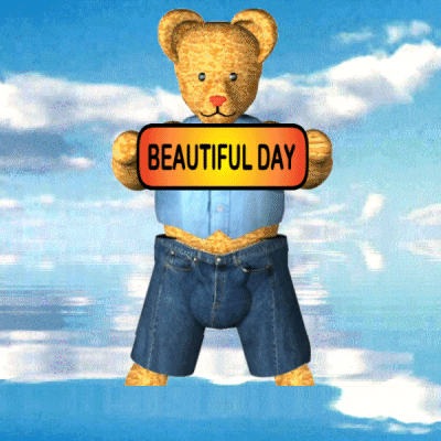 Cat And Bear Have Wonderful Day GIF