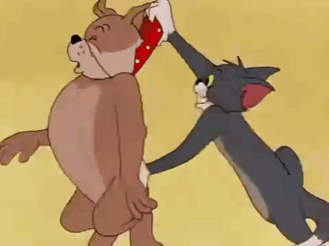 Cat And Dog Playing GIF