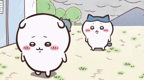 Cat and Dog