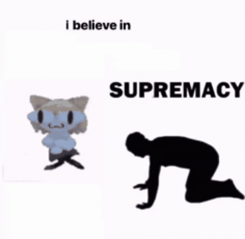 Cat and Man Kneeling I Believe in Supremacy