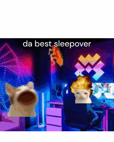 Cat and Man with Da Best Sleepover
