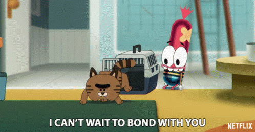 Cat And Netflix Advertisement GIF