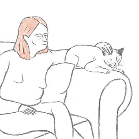 Cat And Owner Sitting On Couch GIF