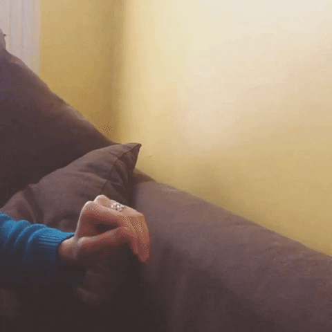 Cat Attacks Man's Hand GIF