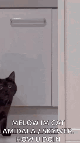 Cat Before Fire Me When No Battle Cats I Get Freaky