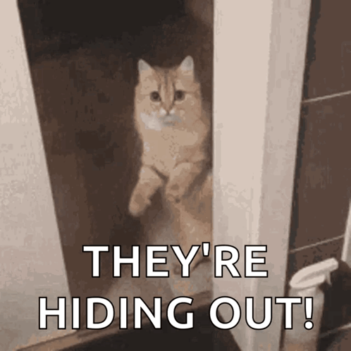 Cat Behind The Door They're Hiding Out Hiding Meme GIF