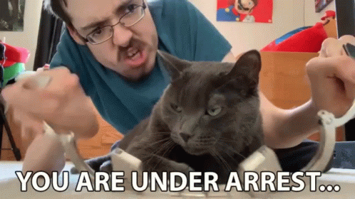 Cat Being Arrested GIF