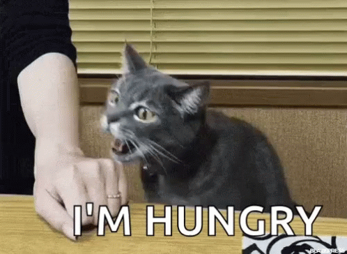 Cat Being Fed At Table With Open Mouth