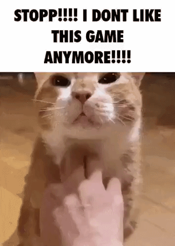 Cat Being Petted Says Stop I Dont Like This Game Anymore GIF