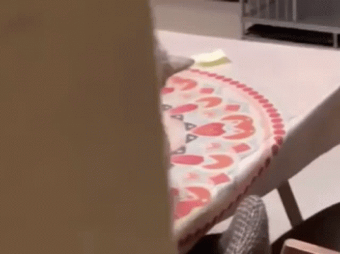 Cat Bend His Head And Stare