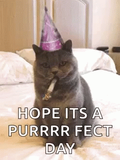 Black Cat Celebrating Purfect Birthday GIF