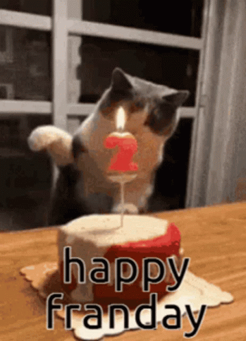 Cat Putting Out Birthday Candle Fire GIF