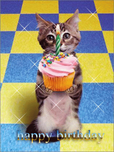 Cute Baby Cat Birthday Cupcake GIF