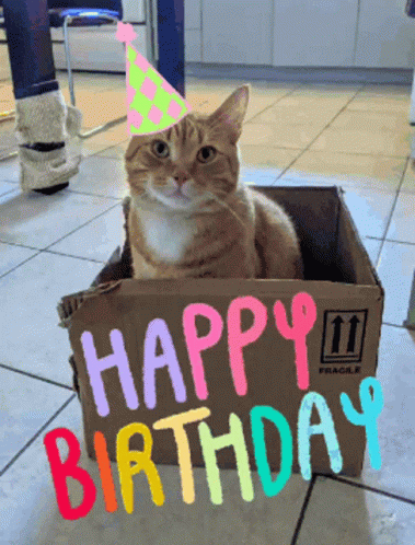 Cat Happy Birthday In Box GIF