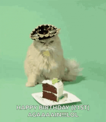 Cat Celebrating Birthday Party Wagging Tail GIF