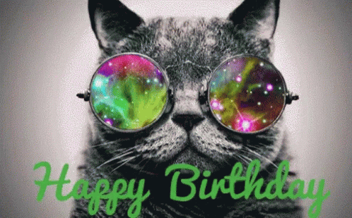 Cool Cat Happy Birthday Wearing Shades GIF