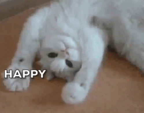 Pusheen Cat Happy Birthday Greyscale GIF