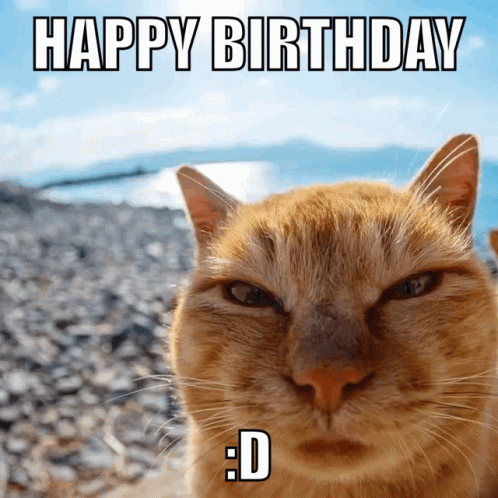 Cat Happy Birthday Confetti Falling GIF