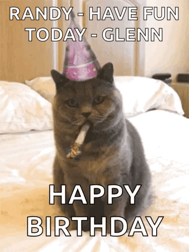 Cat Birthday Celebration Meme GIF