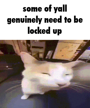 Cat Bleh GIF