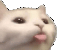 Cat Bleh Meme Cat Blehh Sticker GIF