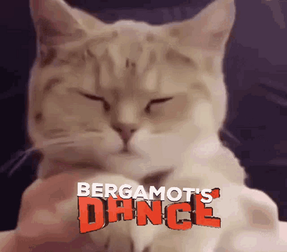 Cat Bobbing Head Dance Music Vibe Meme GIF
