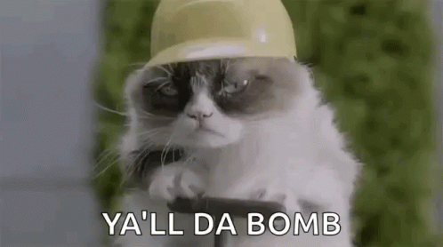 Cat Boss You Da Bomb GIF