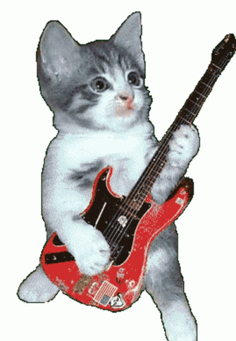 Cat Breakdancing Rock Guitar GIF