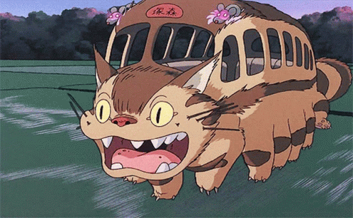 Cat Bus With Chinese Writing