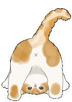 Cat Butt Daniellerademeyer Sticker GIF