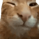 Cat Bye Meme GIF