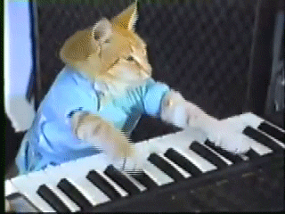 Cat Can't Touch Piano Keys GIF