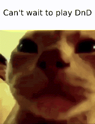 Cat Can't Wait to Play Dnd