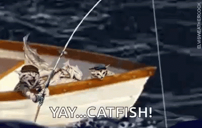 Cat Catching Catfish GIF