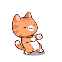 Cat Cats Sticker GIF