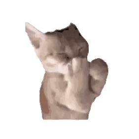 Cat Cleaning Itself with Paw