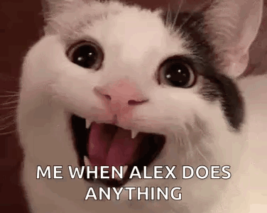 Cat Close Up With Caption D