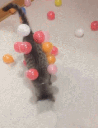 Cat Covered With Happy Birthday Balloons GIF