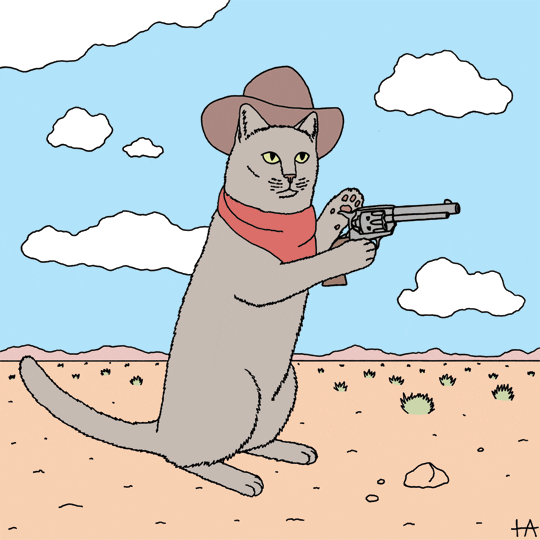 Cat Cowboy GIF