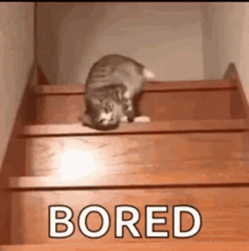 Cat Crawling Up Wooden Stairs GIF