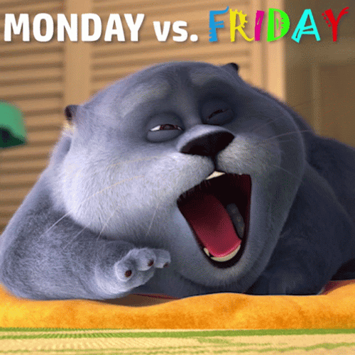 Cat Crazy Monday Versus Friday GIF